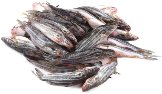 Deshi Tangra Fish - 1kg